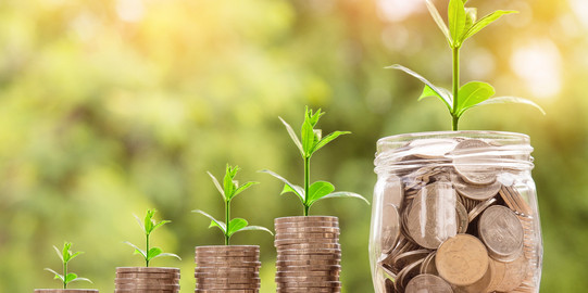 Coins out which plants grow